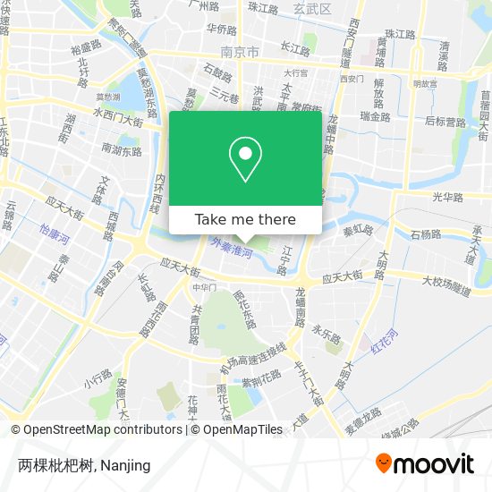 两棵枇杷树 map