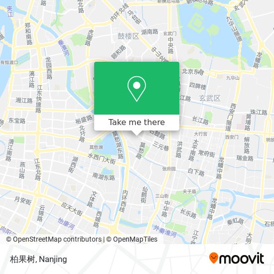 柏果树 map