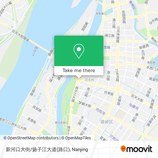 新河口大街/扬子江大道(路口) map