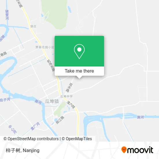 柿子树 map