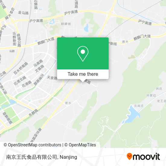 南京王氏食品有限公司 map