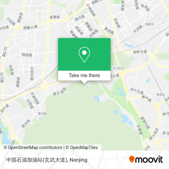 中国石油加油站(玄武大道) map