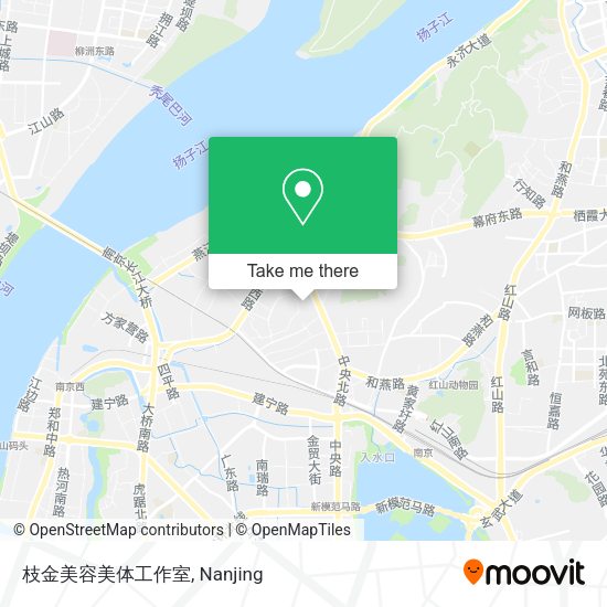 枝金美容美体工作室 map