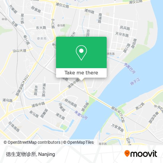 德生宠物诊所 map