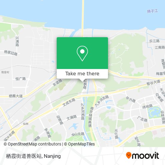 栖霞街道兽医站 map