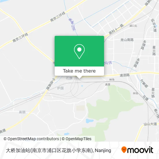 大桥加油站(南京市浦口区花旗小学东南) map