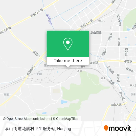 泰山街道花旗村卫生服务站 map