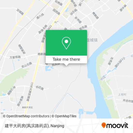 建平大药房(凤滨路药店) map