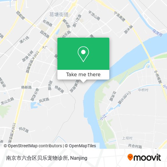 南京市六合区贝乐宠物诊所 map