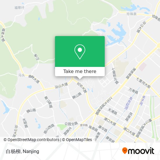 白杨柳 map
