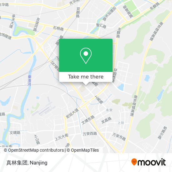 真林集团 map