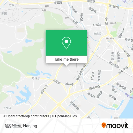 黑郁金丝 map