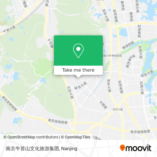 南京牛首山文化旅游集团 map