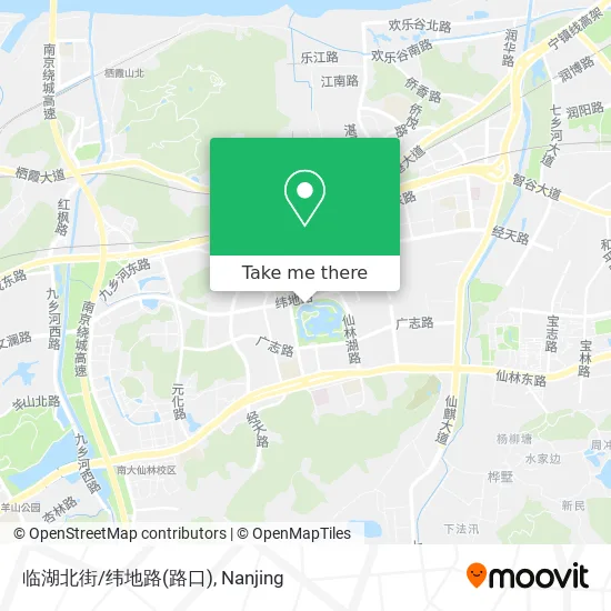 临湖北街/纬地路(路口) map