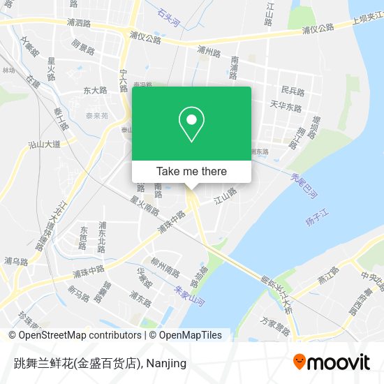 跳舞兰鲜花(金盛百货店) map