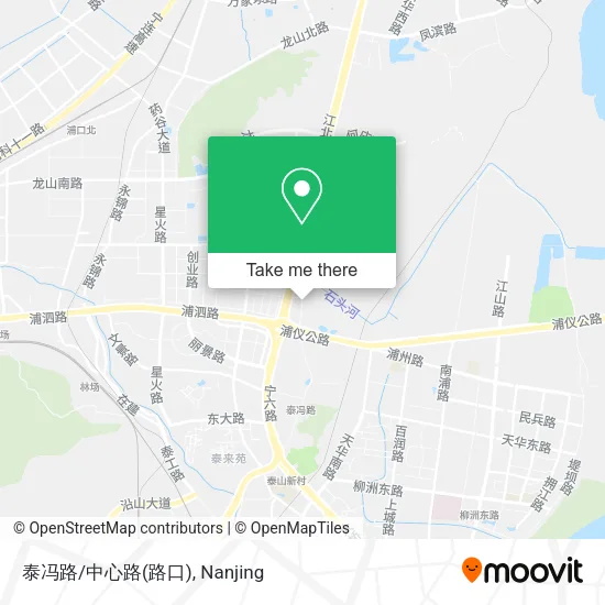 泰冯路/中心路(路口) map