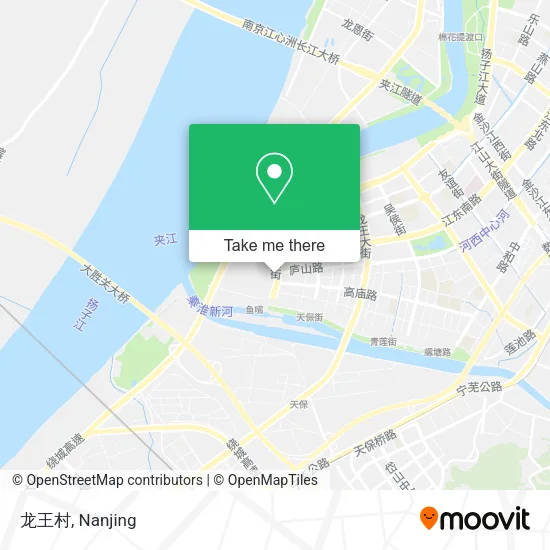 龙王村 map