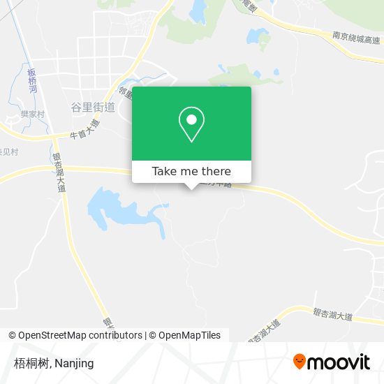 梧桐树 map