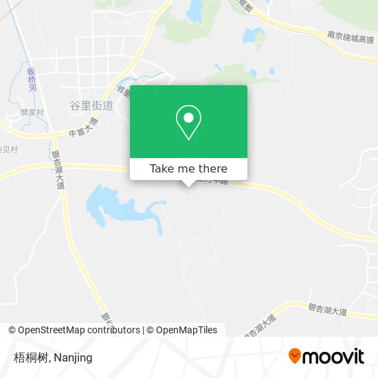 梧桐树 map