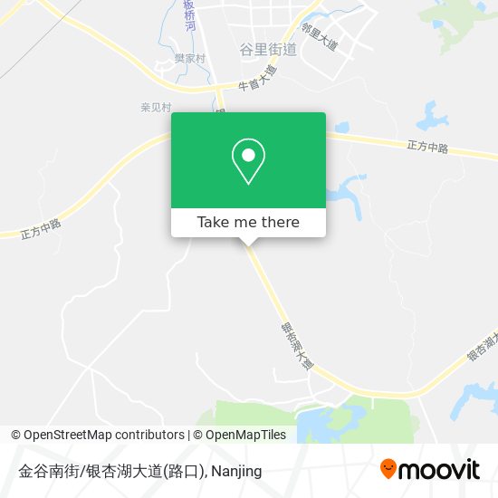 金谷南街/银杏湖大道(路口) map