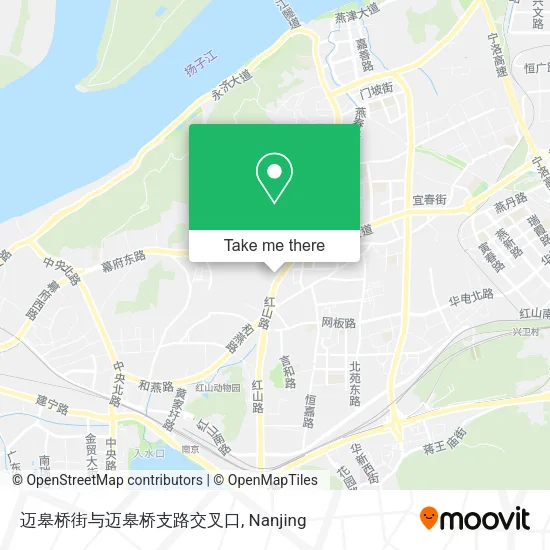 迈皋桥街与迈皋桥支路交叉口 map
