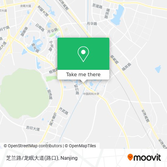 芝兰路/龙眠大道(路口) map