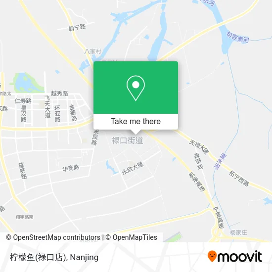 柠檬鱼(禄口店) map