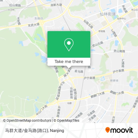 马群大道/金马路(路口) map
