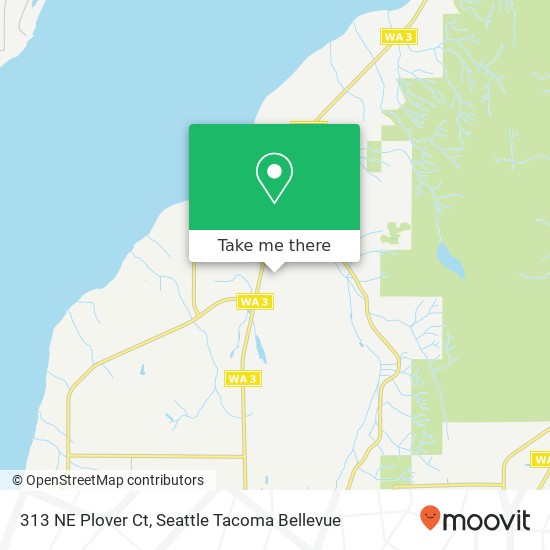 Mapa de 313 NE Plover Ct, Poulsbo, WA 98370