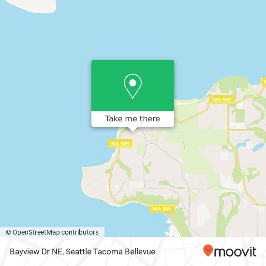 Mapa de Bayview Dr NE, Tacoma, WA 98422