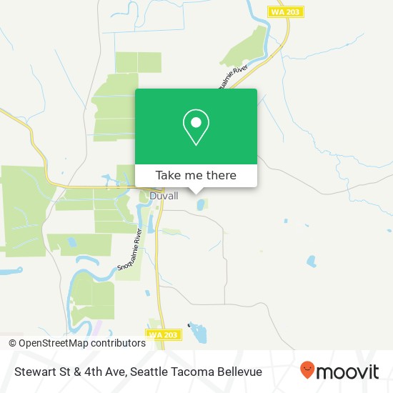 Mapa de Stewart St & 4th Ave, Duvall, WA 98019