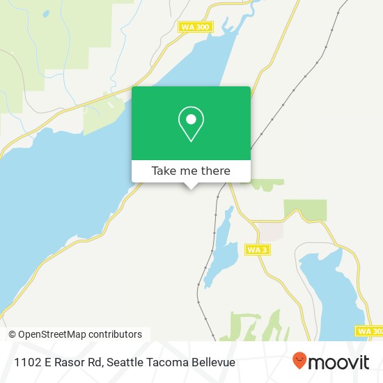 1102 E Rasor Rd, Belfair, WA 98528 map