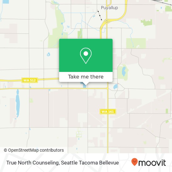 True North Counseling, 3806 9th St SW map