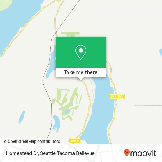 Mapa de Homestead Dr, Allyn, WA 98524