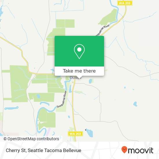 Mapa de Cherry St, Duvall, WA 98019