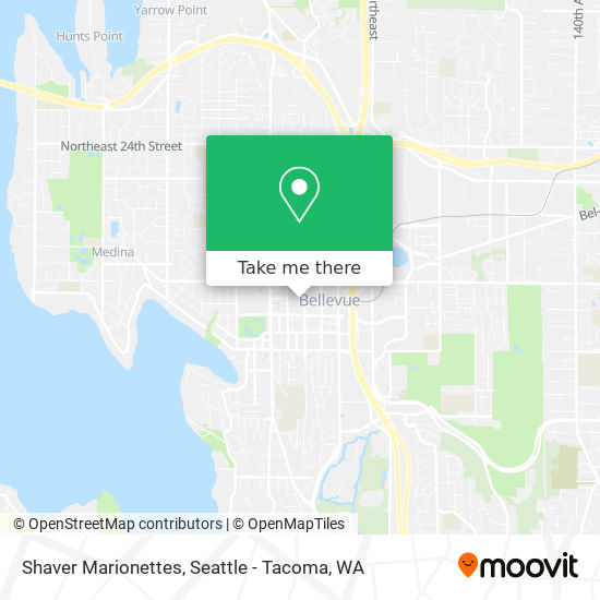 Shaver Marionettes map