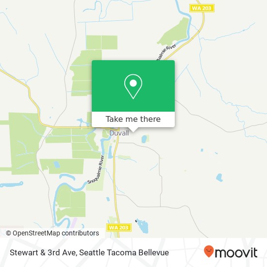 Mapa de Stewart & 3rd Ave, Duvall, WA 98019