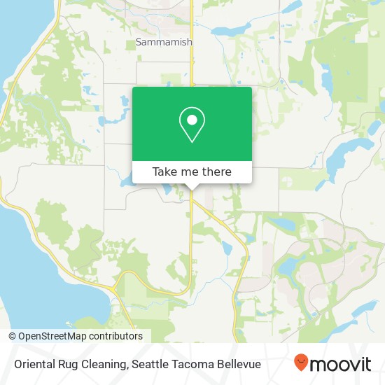 Mapa de Oriental Rug Cleaning, 2902 228th Ave SE