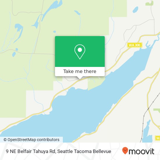 Mapa de 9 NE Belfair Tahuya Rd, Belfair, WA 98528