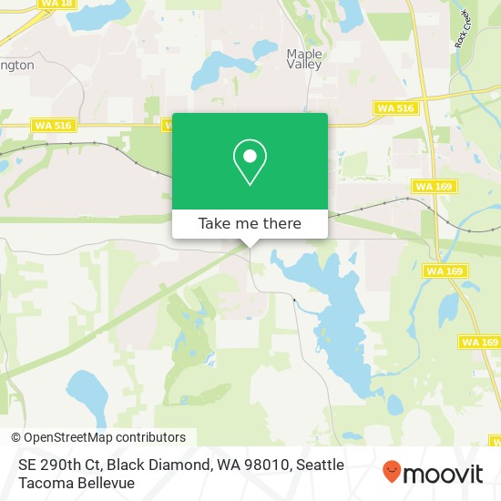 Mapa de SE 290th Ct, Black Diamond, WA 98010