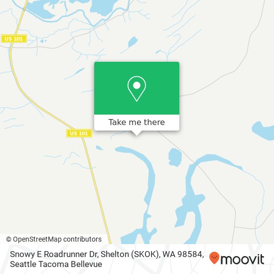 Mapa de Snowy E Roadrunner Dr, Shelton (SKOK), WA 98584