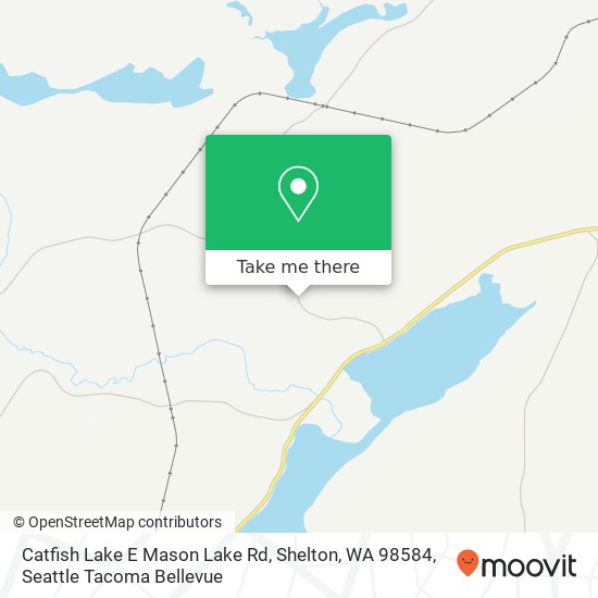 Mapa de Catfish Lake E Mason Lake Rd, Shelton, WA 98584
