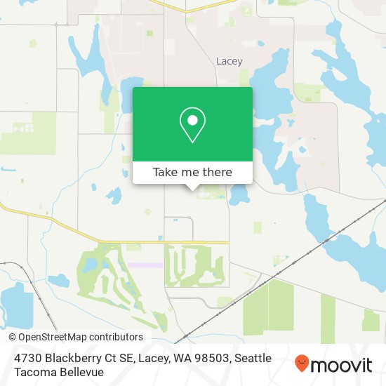 Mapa de 4730 Blackberry Ct SE, Lacey, WA 98503