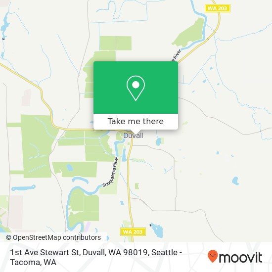 Mapa de 1st Ave Stewart St, Duvall, WA 98019
