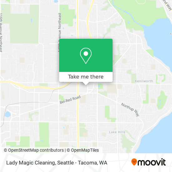 Lady Magic Cleaning map