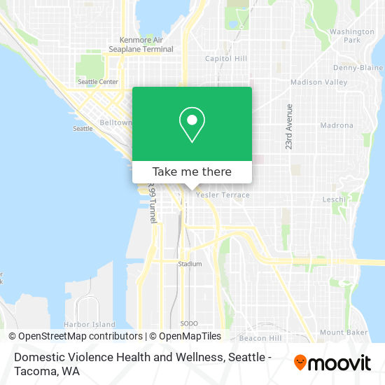 Domestic Violence Health and Wellness map