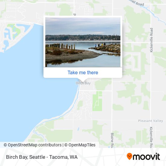 Birch Bay map