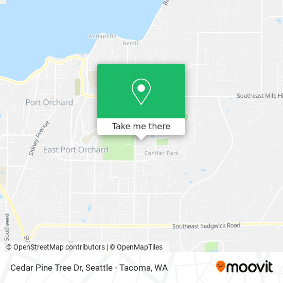 Cedar Pine Tree Dr map