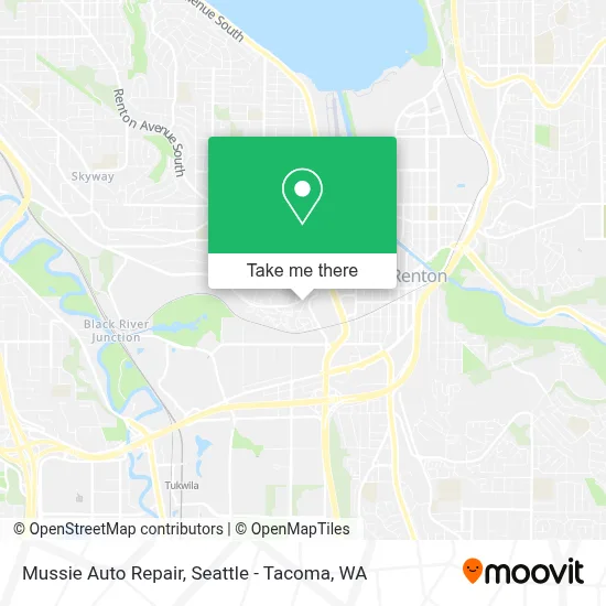 Mussie Auto Repair map