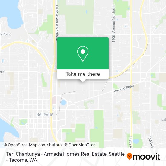 Teri Chanturiya - Armada Homes Real Estate map